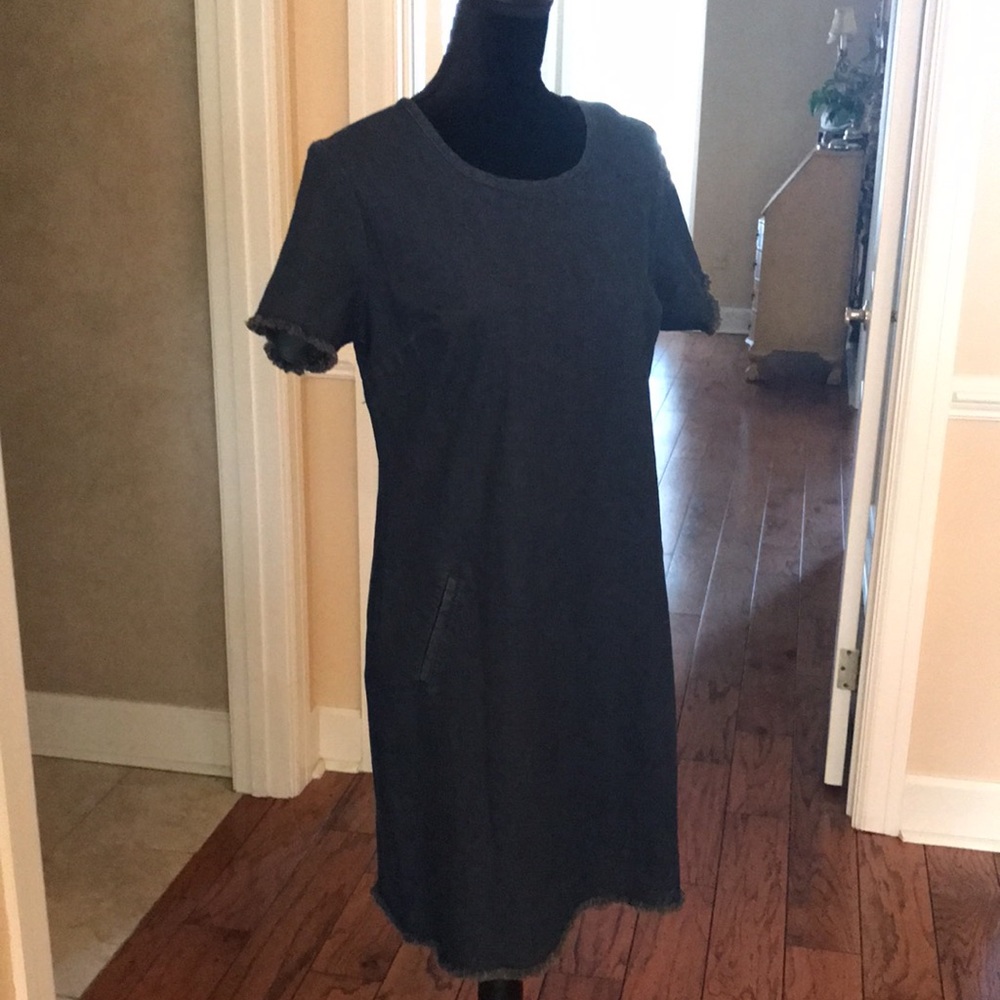 C Wonder Denim Dress
